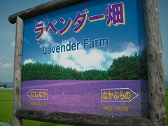 富良野・美瑛ノロッコ号