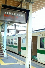 仙台ラビット
