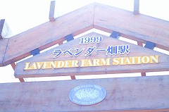 ラベンダー畑駅