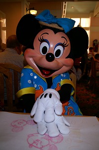 ケープメイのミニー